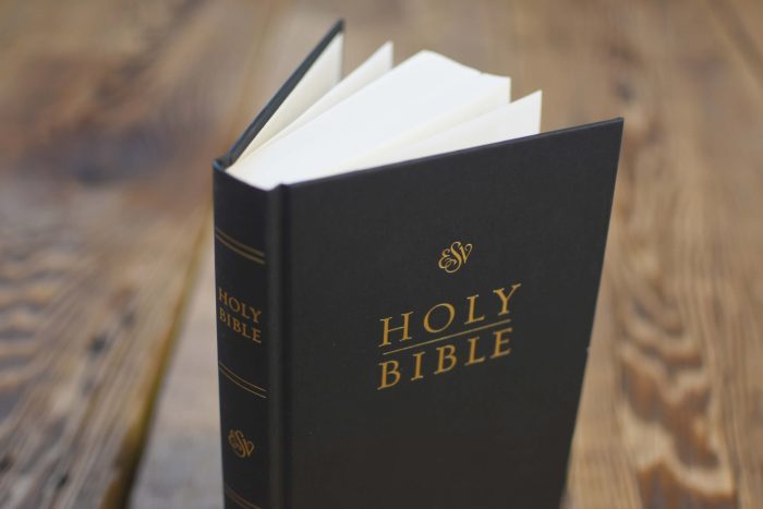 ESV Church Bible (Hardcover, Black) - Image 7
