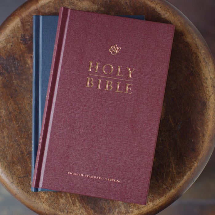 ESV Church Bible (Hardcover, Burgundy) - Image 3