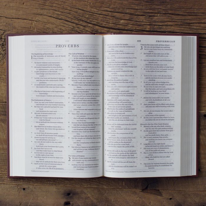 ESV Church Bible (Hardcover, Burgundy) - Image 2
