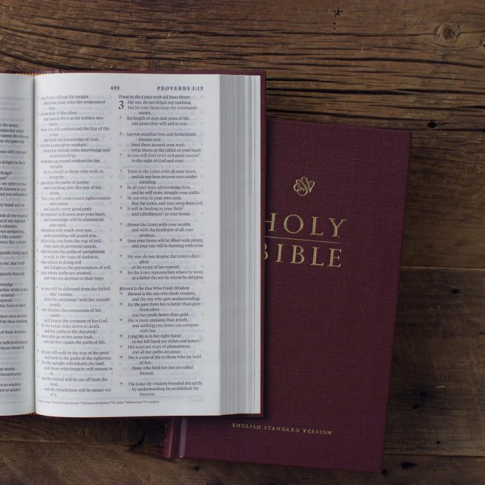 ESV Church Bible (Hardcover, Burgundy) - Image 4