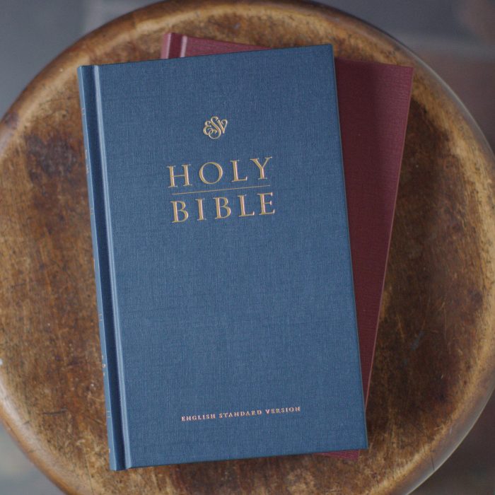 ESV Church Bible (Hardcover, Blue) - Image 3