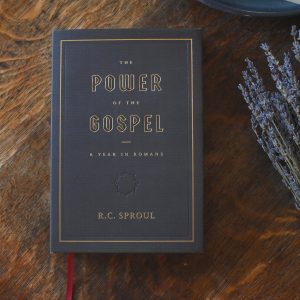 The Power of the Gospel: A Year in Romans - Image 7