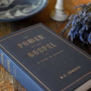 The Power of the Gospel: A Year in Romans - Image 6