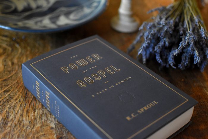 The Power of the Gospel: A Year in Romans - Image 6