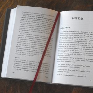 The Power of the Gospel: A Year in Romans - Image 3