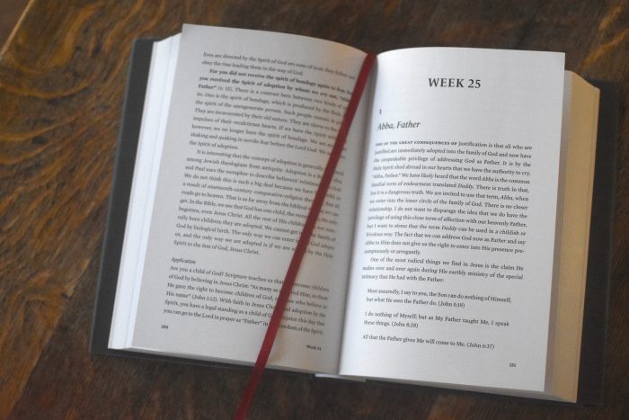 The Power of the Gospel: A Year in Romans - Image 3