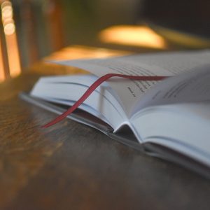 The Power of the Gospel: A Year in Romans - Image 2