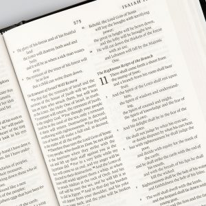 ESV Premium Pew and Worship Bible (Hardcover, Black) - Image 8