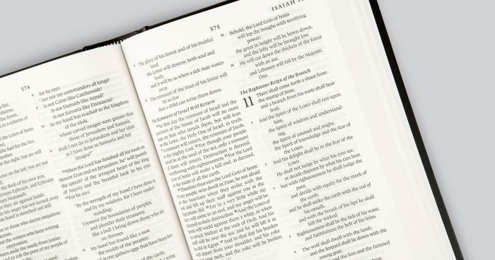 ESV Premium Pew and Worship Bible (Hardcover, Black) - Image 8