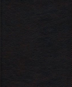 In the Lord I Take Refuge: 150 Daily Devotions Through the Psalms (Gift Edition) - Image 2